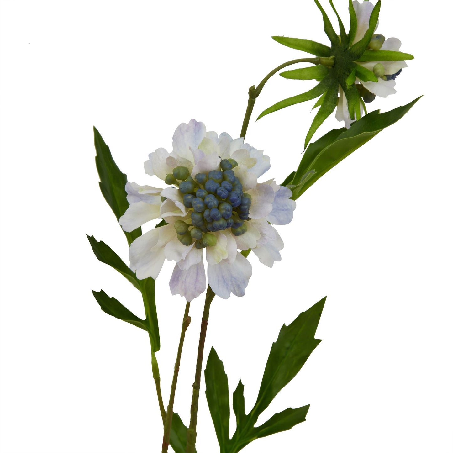 Pale Blue Scabious Stem Blue Plastic 23417