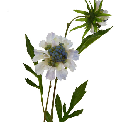 Pale Blue Scabious Stem Blue Plastic 23417