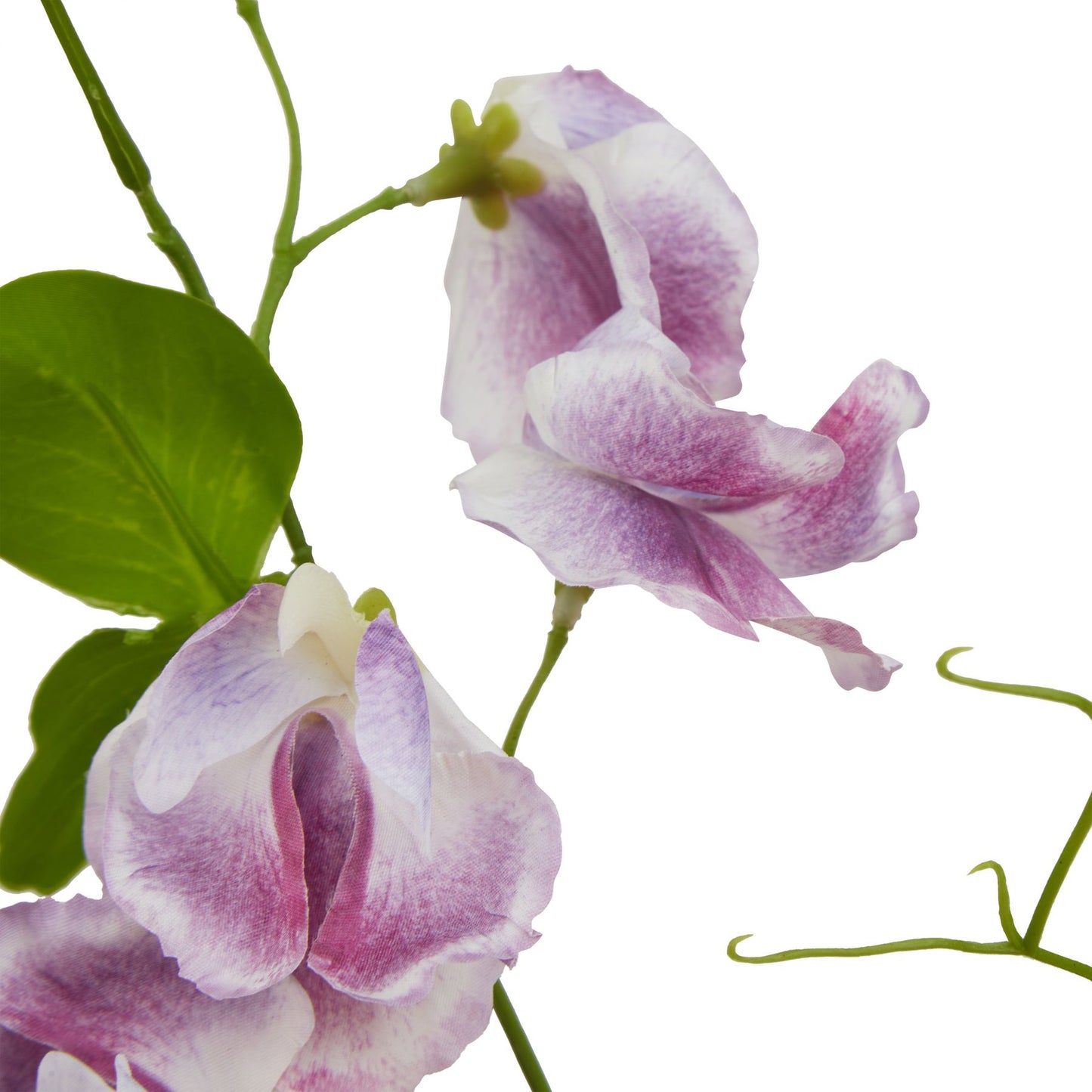 The Natural Garden Collection Purple Sweetpea Stem Purple Plastic 23418