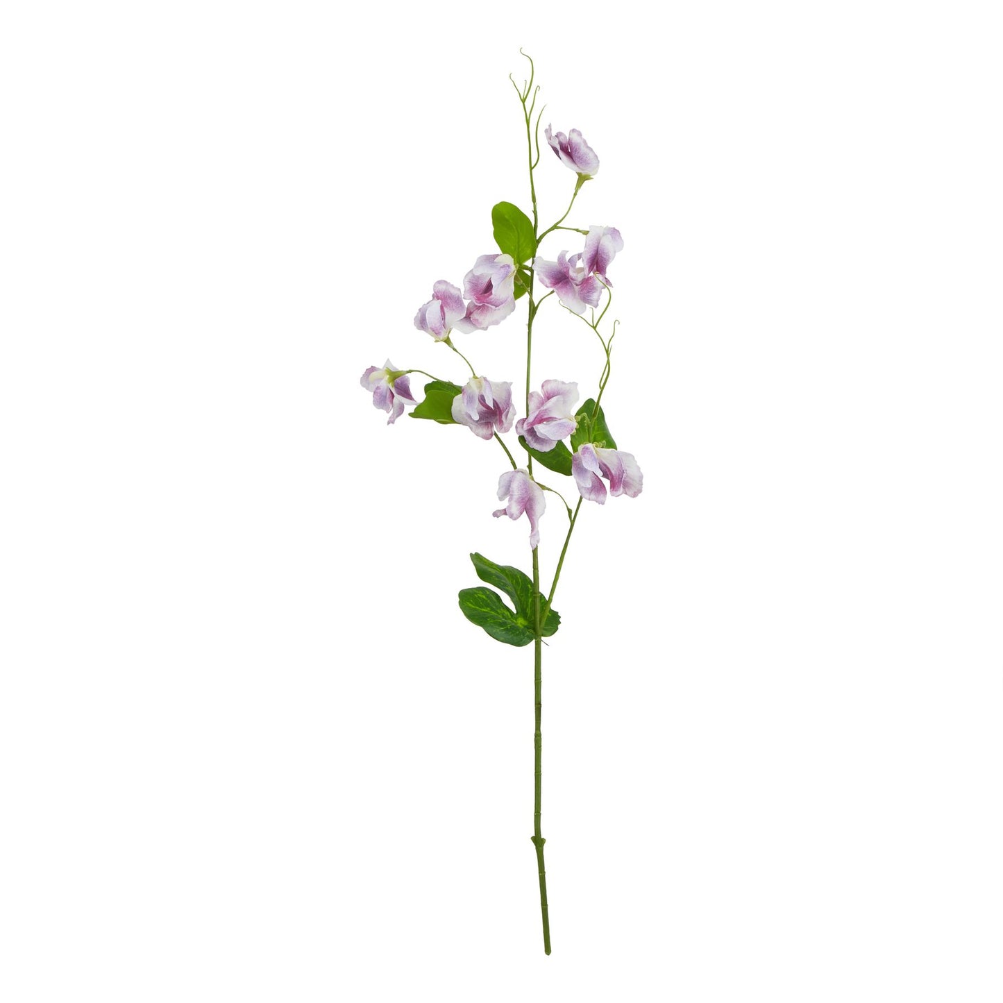 The Natural Garden Collection Purple Sweetpea Stem Purple Plastic 23418