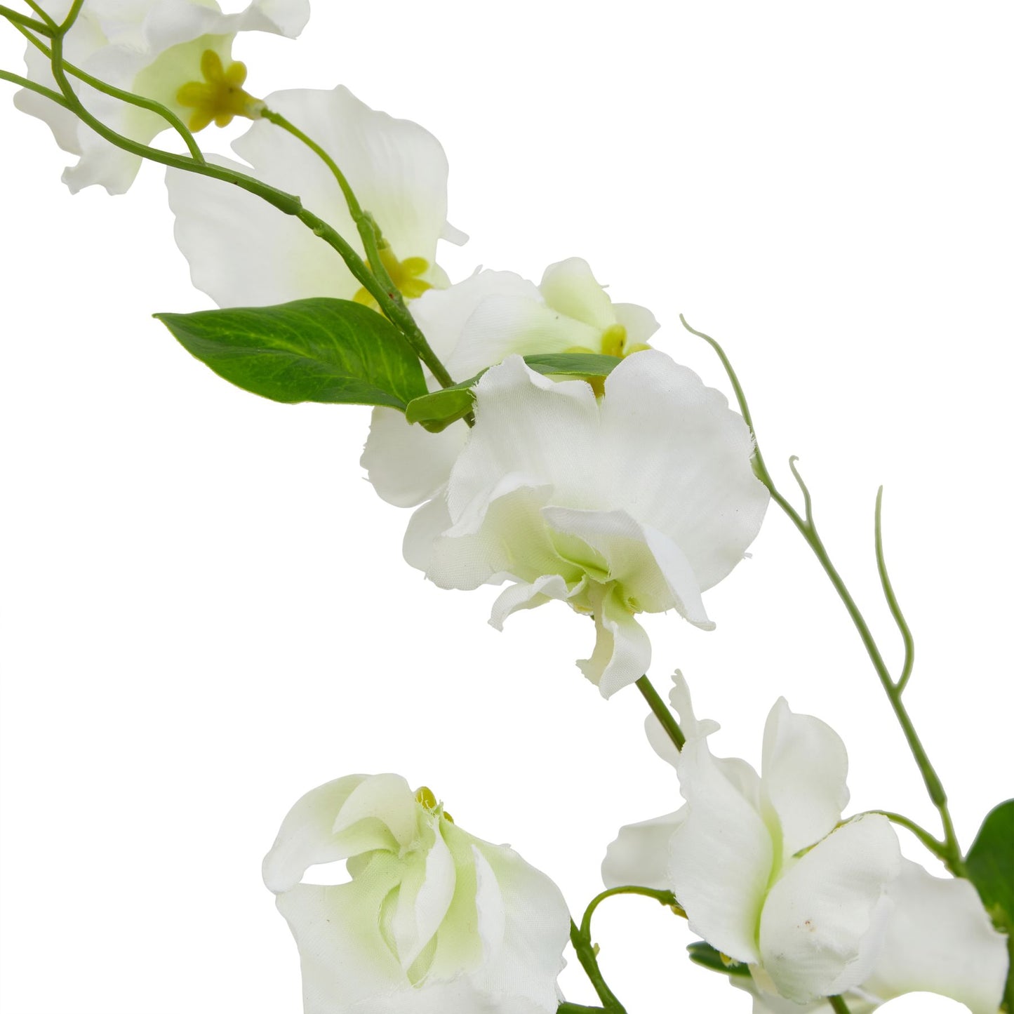 The Natural Garden Collection White Sweetpea Stem White Plastic 23419