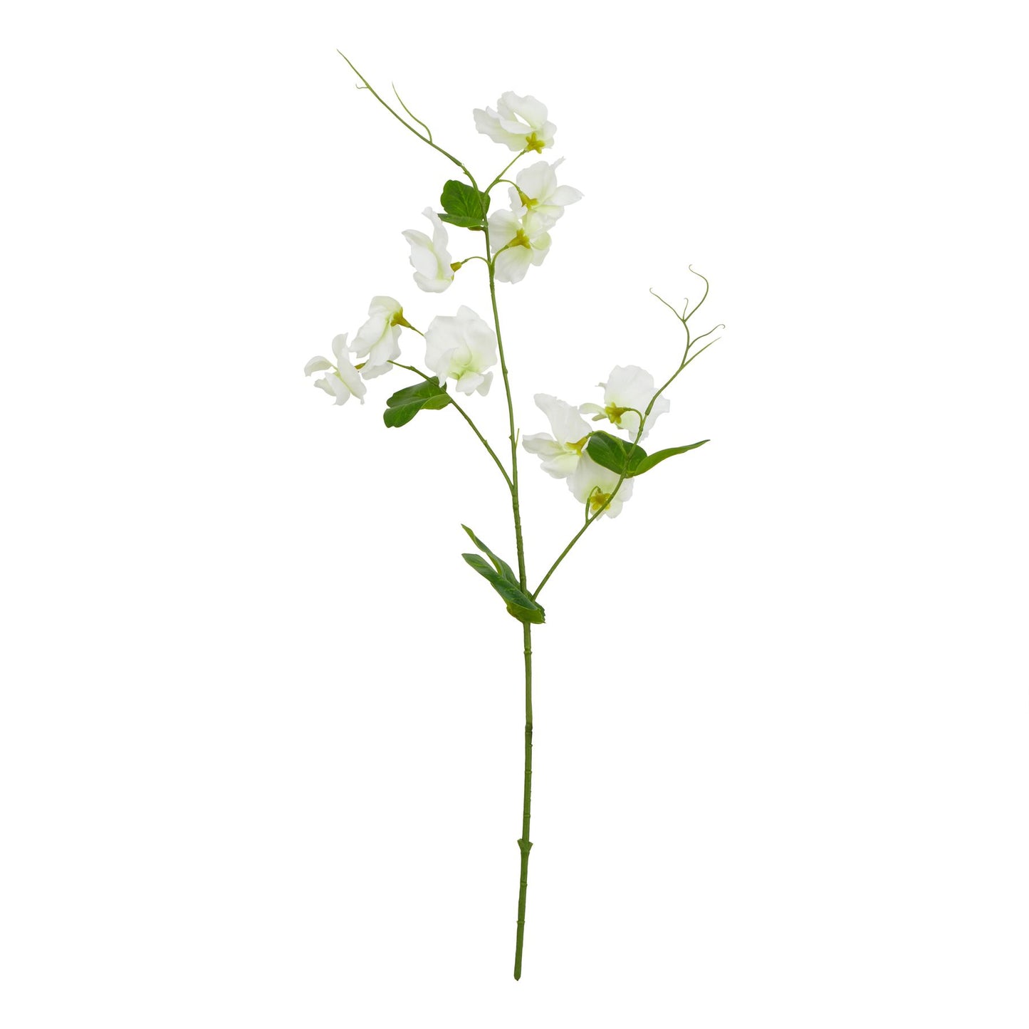 The Natural Garden Collection White Sweetpea Stem White Plastic 23419