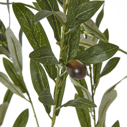 Apulia Olive Tree In White Pot 180 Cm Brown Plastic 23707