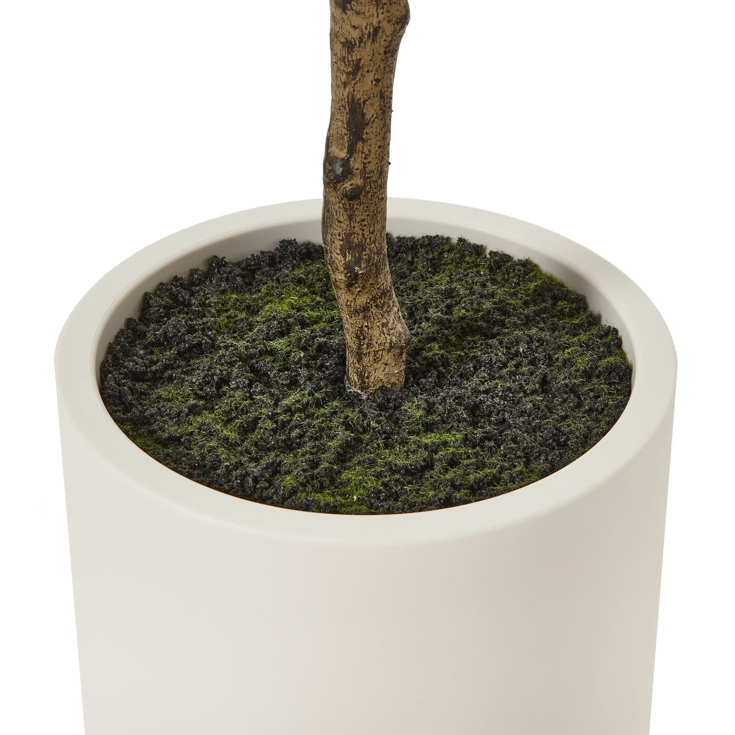 Apulia Olive Tree In White Pot 180 Cm Brown Plastic 23707