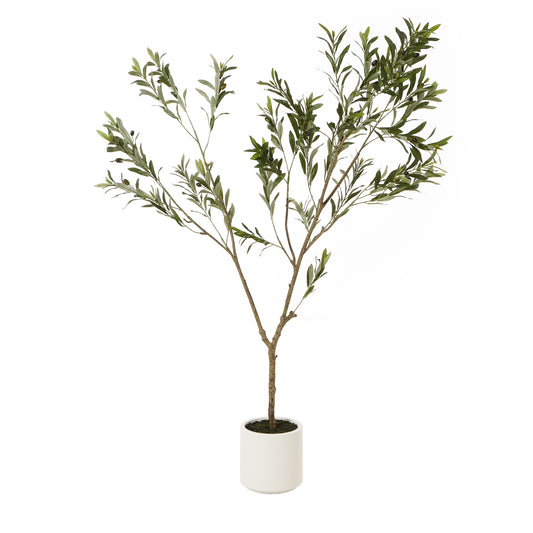 Apulia Olive Tree In White Pot 180 Cm Brown Plastic 23707