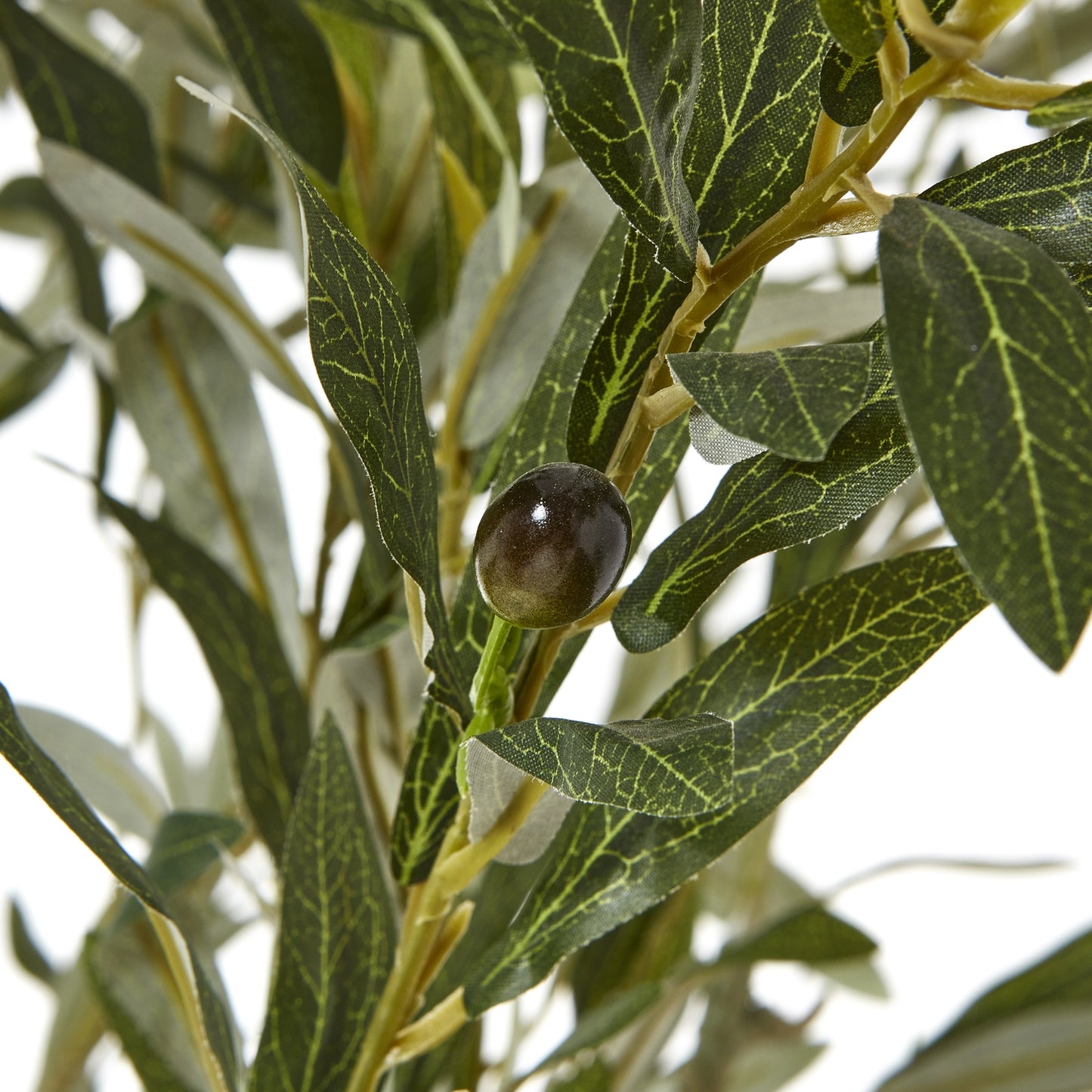 Apulia Olive Tree In White Pot 210 Cm Brown Plastic 23708