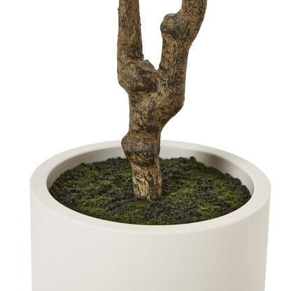 Apulia Olive Tree In White Pot 210 Cm Brown Plastic 23708