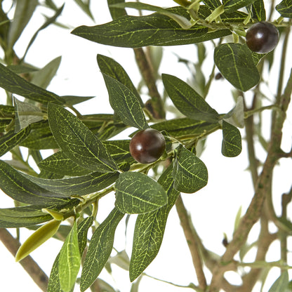 Apulia Olive Tree In White Pot 240 Cm Brown Plastic 23710