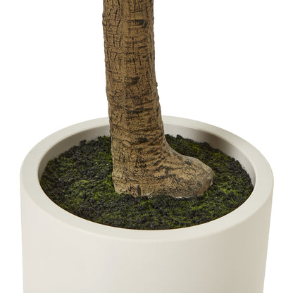 Apulia Olive Tree In White Pot 240 Cm Brown Plastic 23710