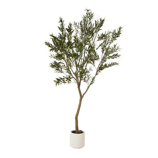 Apulia Olive Tree In White Pot 240 Cm Brown Plastic 23710