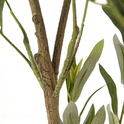 Apulia Olive Tree In White Pot 150 Cm Brown Plastic 23711