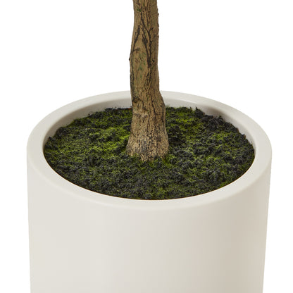 Apulia Olive Tree In White Pot 150 Cm Brown Plastic 23711