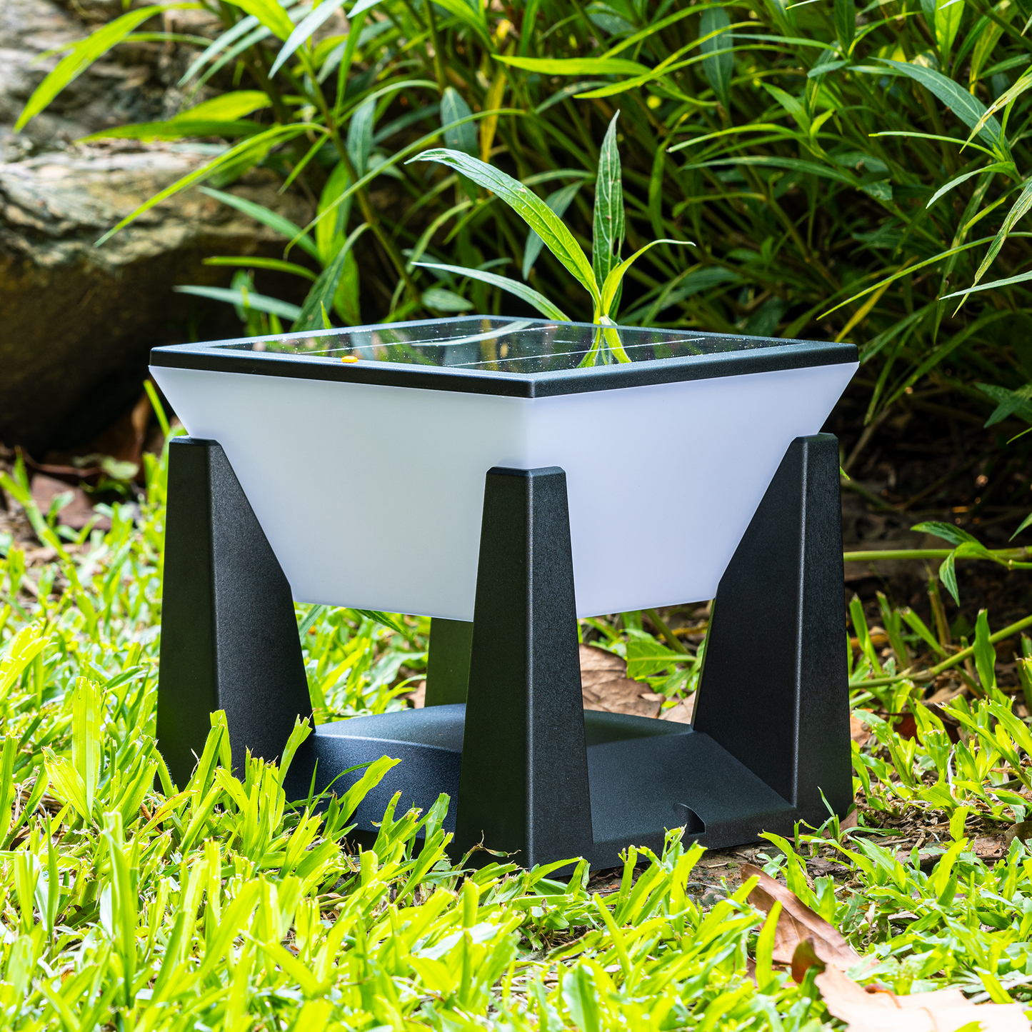 Solar Outdoor Light - Portable and Weatherproof - Warm White Lighting - Eco-Friendly - Automatic On/Off - Ideal for Gardens - Patios - and Camping