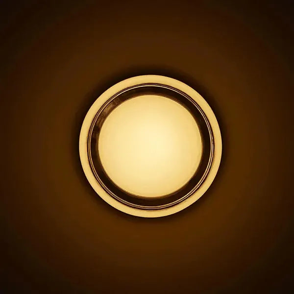 Verthara Premium Round LED Indoor-Outdoor Wall Sconce