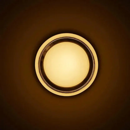 Verthara Premium Round LED Indoor-Outdoor Wall Sconce