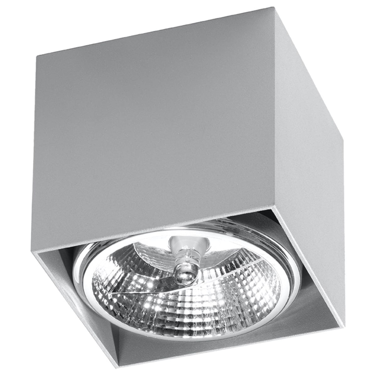 Sollux Lighting Ceiling Lamp Blake Grey - Modern BLAKE Spot Ceiling Light - Minimalist Design - Easy Surface Mounting - Compatible with GU10 Bulbs