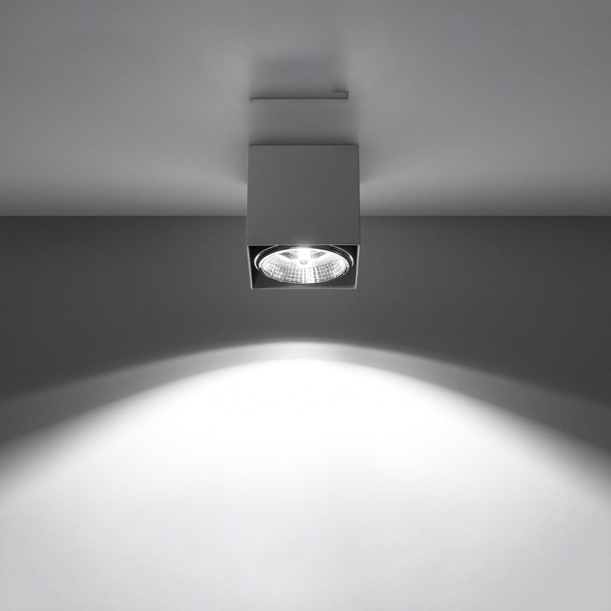 Sollux Lighting Ceiling Lamp Blake Grey - Modern BLAKE Spot Ceiling Light - Minimalist Design - Easy Surface Mounting - Compatible with GU10 Bulbs