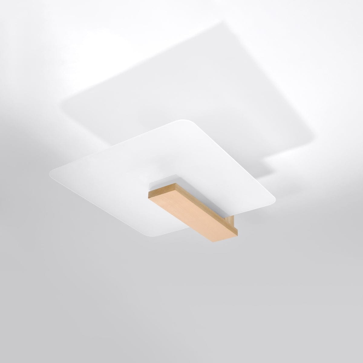 Sollux Lighting LAPPO Natural Wood Ceiling Lamp - Scandinavian Design - Matte Glass Shade - E27 Bulb Compatible - Easy Cleaning - Warm Ambient Lighting