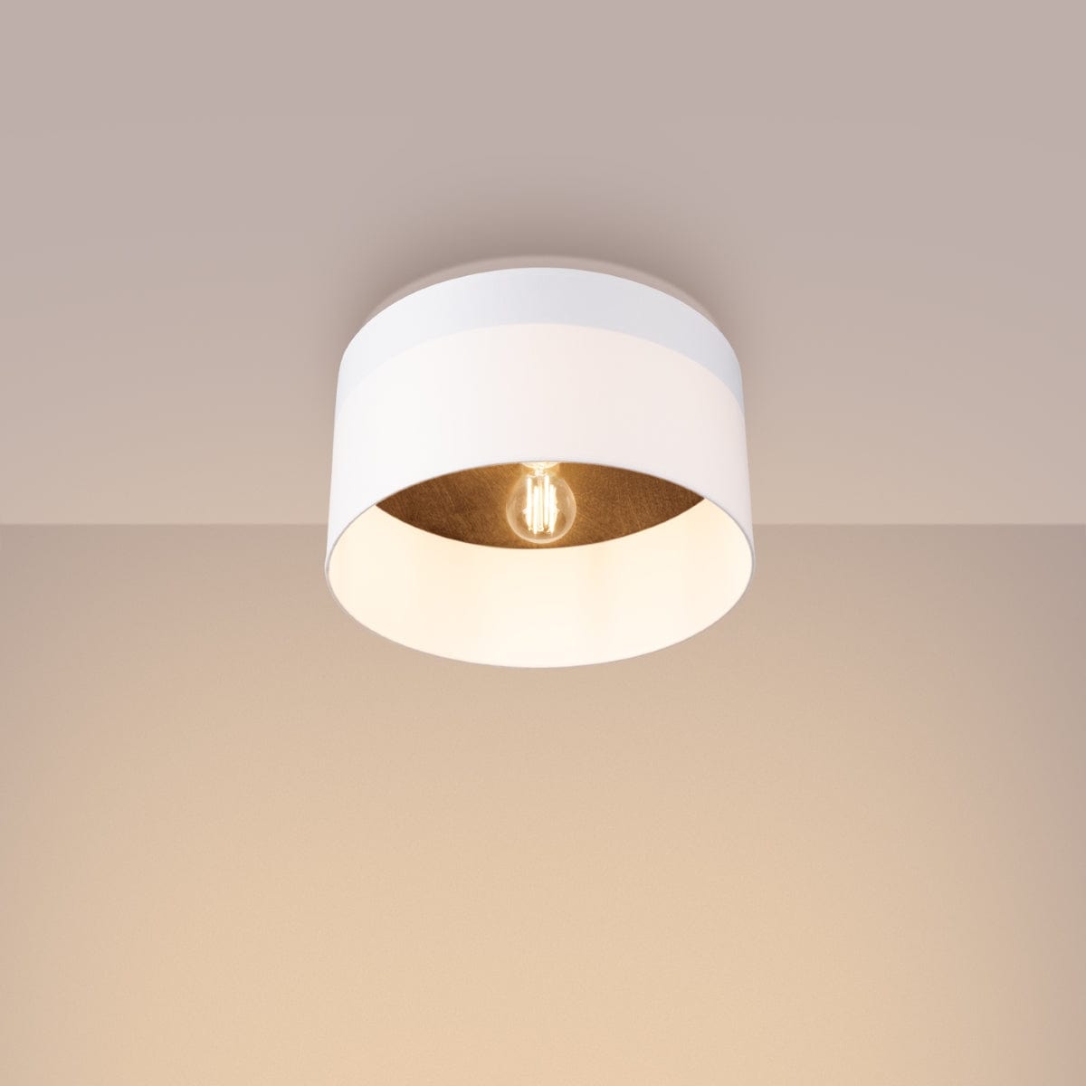 Sollux Lighting TELESTO Ceiling Lamp White/Dark Brown - Minimalist Modern Design - Energy-Efficient LED Compatible - Elegant & Cozy Lighting