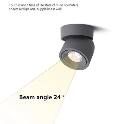 Verthara LED Ceiling Spotlights Macaron