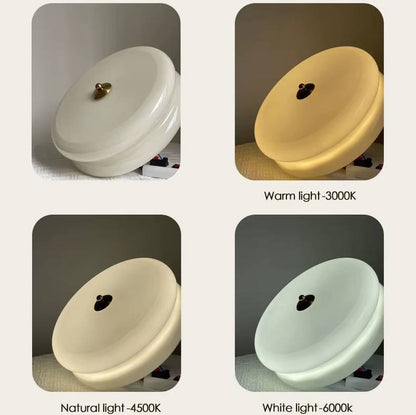 Verthara Minimalist Nordic Flush Mount Ceiling Light – Cream and White LED Ceiling Lamp for Living Room and Bedroom