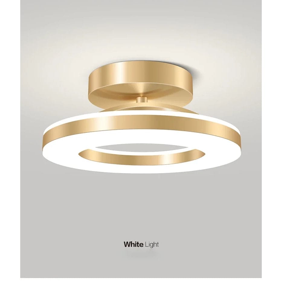 Verthara Modern Flush Mount LED Ceiling Light Fixture – Adjustable Colour Temperature - Iron and Acrylic - Available in Gold and Black