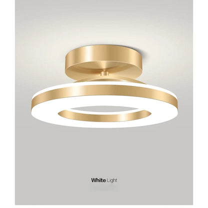 Verthara Modern Flush Mount LED Ceiling Light Fixture – Adjustable Colour Temperature - Iron and Acrylic - Available in Gold and Black