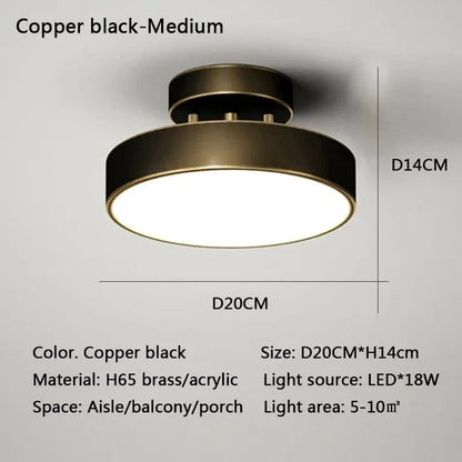 Verthara Modern LED Flush Mount Ceiling Light - Dimmable - Adjustable Colour Temperature - Copper Finish - Suitable for Bedroom, Living Room, and Corridor Black 20CM / Warm white