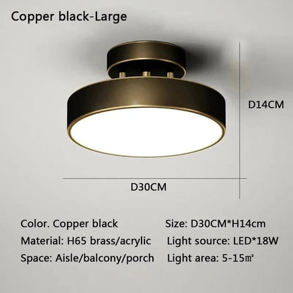 Verthara Modern LED Flush Mount Ceiling Light - Dimmable - Adjustable Colour Temperature - Copper Finish - Suitable for Bedroom, Living Room, and Corridor Black 30CM / Warm white