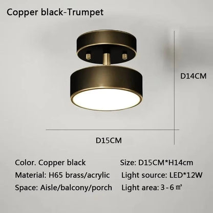 Verthara Modern LED Flush Mount Ceiling Light - Dimmable - Adjustable Colour Temperature - Copper Finish - Suitable for Bedroom, Living Room, and Corridor Black 15CM / Warm white