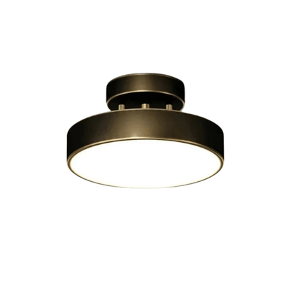 Verthara Modern LED Flush Mount Ceiling Light - Dimmable - Adjustable Colour Temperature - Copper Finish - Suitable for Bedroom, Living Room, and Corridor Black 20CM