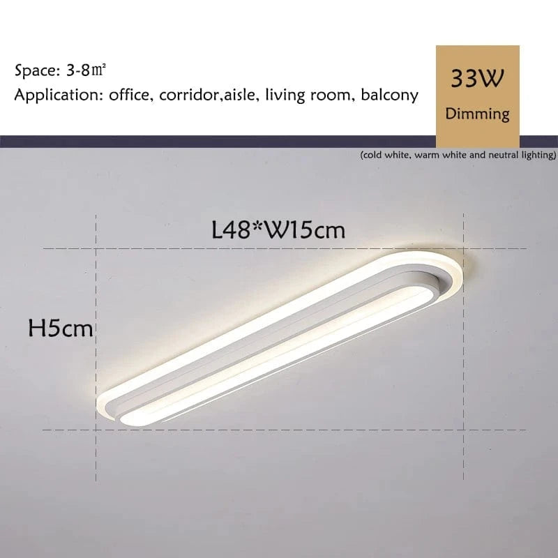 Verthara Modern Minimalist LED Flush Mount Ceiling Light – Durable Aluminum Fixture for Aisles, Corridors, Black and White Options Changeable / White / 48*15