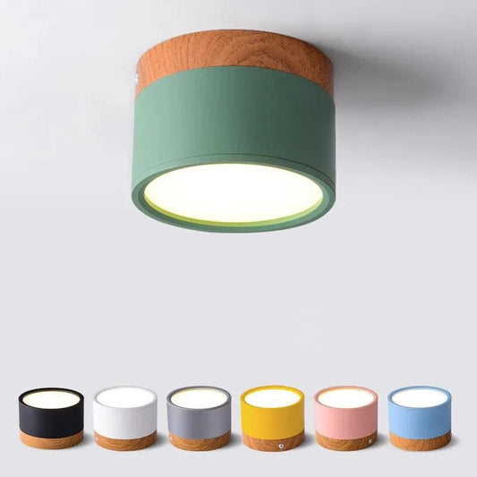 Verthara Modern Surface Mounted LED Downlight