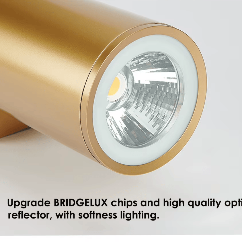 Verthara Premium Gold Stainless Steel IP67 Outdoor Wall Light