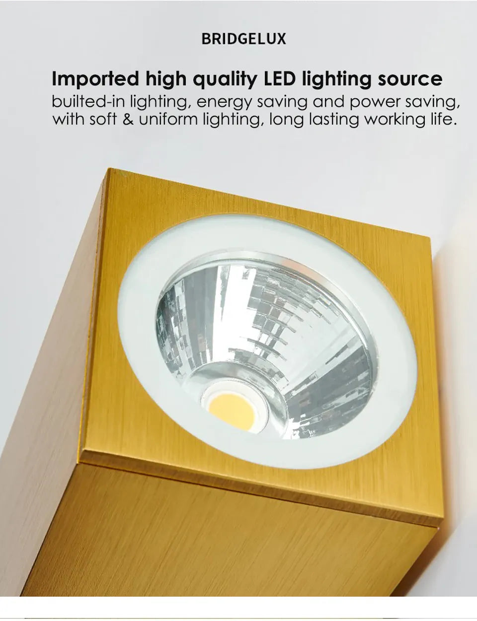 Verthara Premium Gold Stainless Steel IP67 Outdoor Wall Light