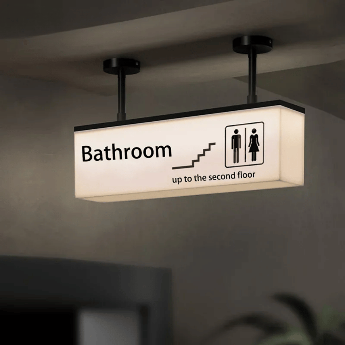 Verthara Premium Illuminated LED Toilet Sign With Hanging Mount – Customisable - Modern Design - Indoor Use - Bright White Light - Durable Acrylic