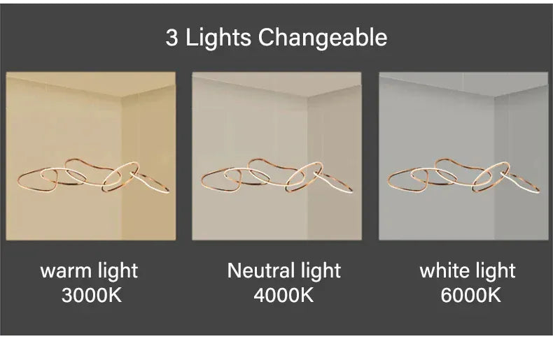 Verthara Premium LED Circle Pendant Chandelier