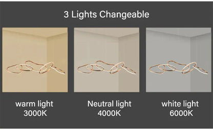 Verthara Premium LED Circle Pendant Chandelier