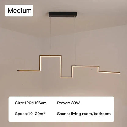 Verthara Premium Minimalist Black Geometric Pendant Light C-120cmxH26