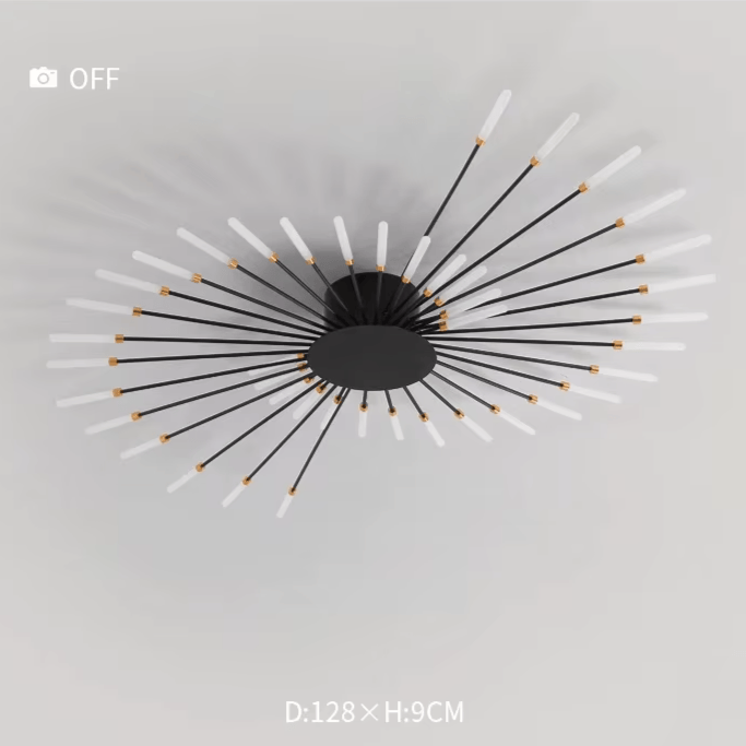 Verthara Premium Modern Art Frame LED Ceiling Light