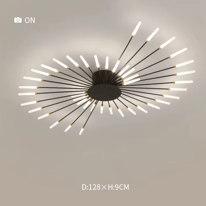Verthara Premium Modern Art Frame LED Ceiling Light