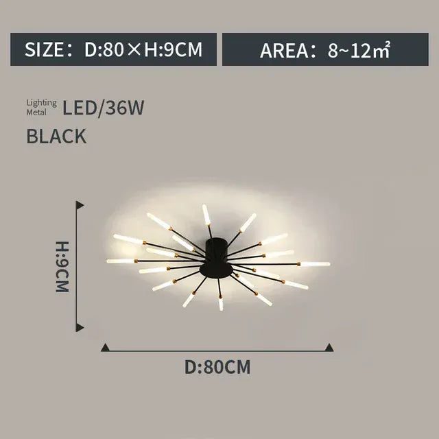 Verthara Premium Modern Art Frame LED Ceiling Light black18