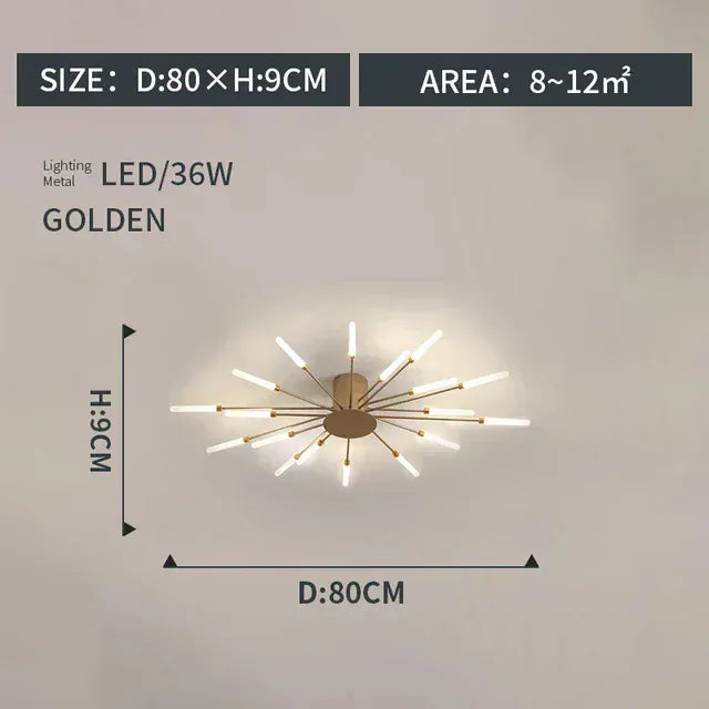 Verthara Premium Modern Art Frame LED Ceiling Light