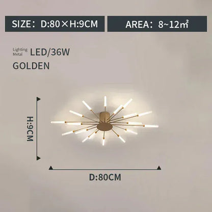 Verthara Premium Modern Art Frame LED Ceiling Light