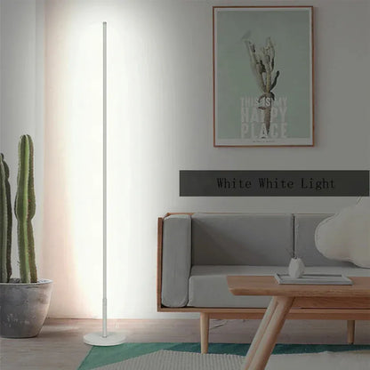 Verthara Premium Nordic Minimalist LED Floor Lamp