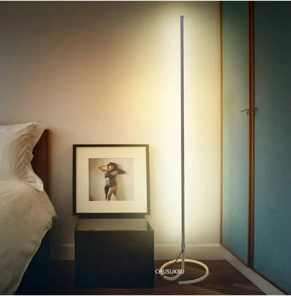 Verthara Premium Nordic Minimalist LED Floor Lamp
