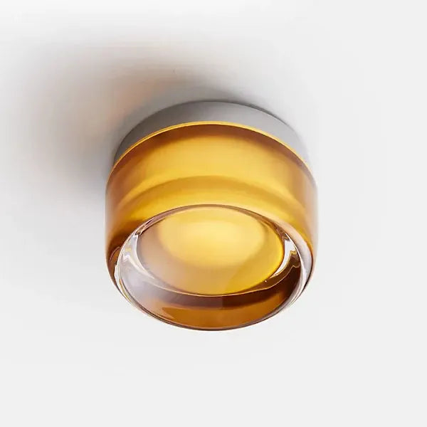 Verthara Premium Round LED Indoor-Outdoor Wall Sconce