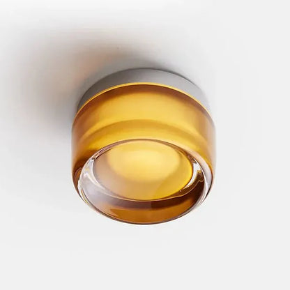 Verthara Premium Round LED Indoor-Outdoor Wall Sconce