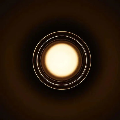 Verthara Premium Round LED Indoor-Outdoor Wall Sconce