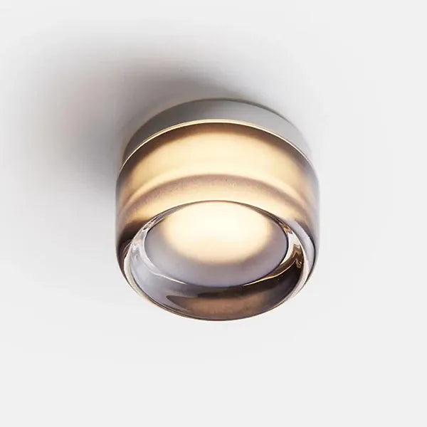Verthara Premium Round LED Indoor-Outdoor Wall Sconce